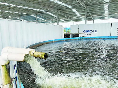 從土塘到工廠 江門水產(chǎn)養(yǎng)殖與家畜飼養(yǎng)的標準化之路